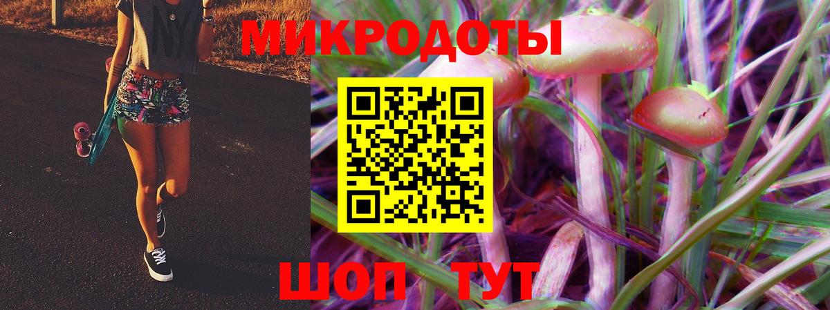 Чита  Галлюциногенные грибы прущие грибы  Вход с VPN 